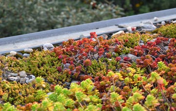 the cost of Lower Cheriton green roof installation